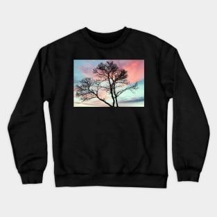 Beautiful tree with a craw at sunset Crewneck Sweatshirt